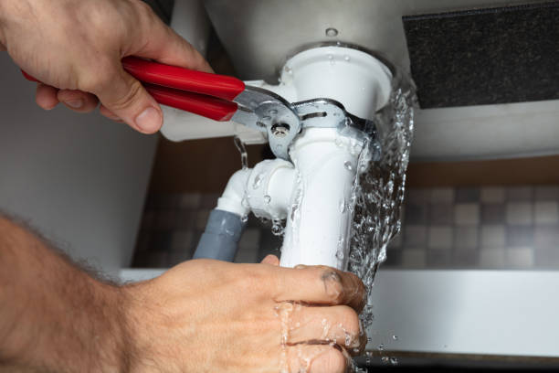 Best Flooded house restoration  in Madison, MN