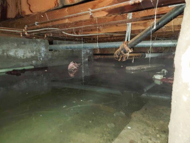  Madison, MN Water damage restoration Pros