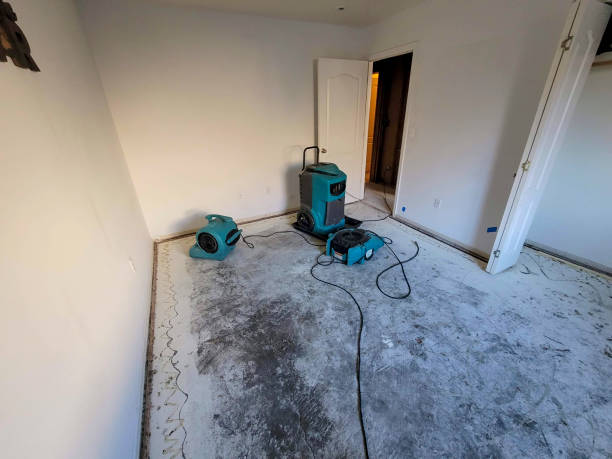 Best Ceiling water damage repair  in Madison, MN