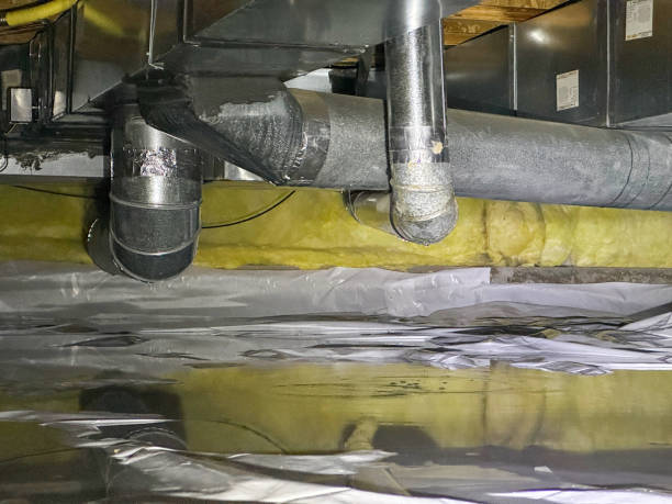 Best Professional water damage repair  in Madison, MN