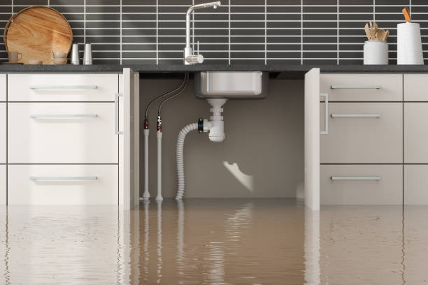 Sewage cleanup and water damage restoration in Madison, MN