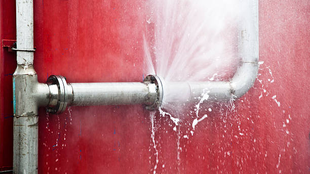 Best Water damage restoration experts  in Madison, MN